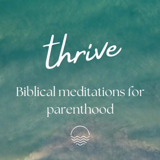 Thrive Biblical Meditation icon